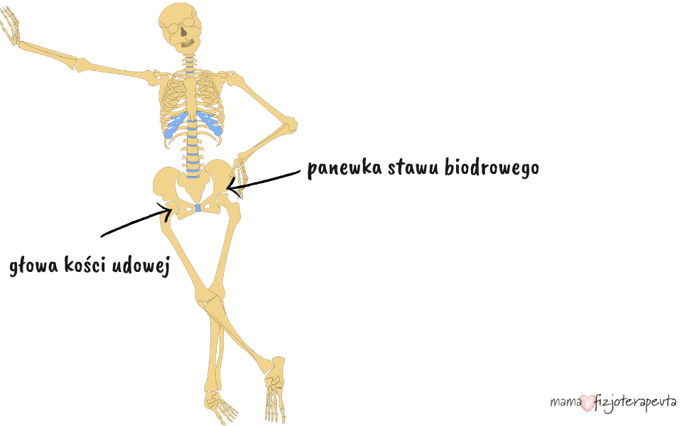 co na bioderka zamiast pieluchy