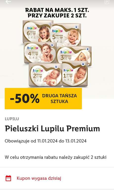 pieluchy jednorazowe lidl cena