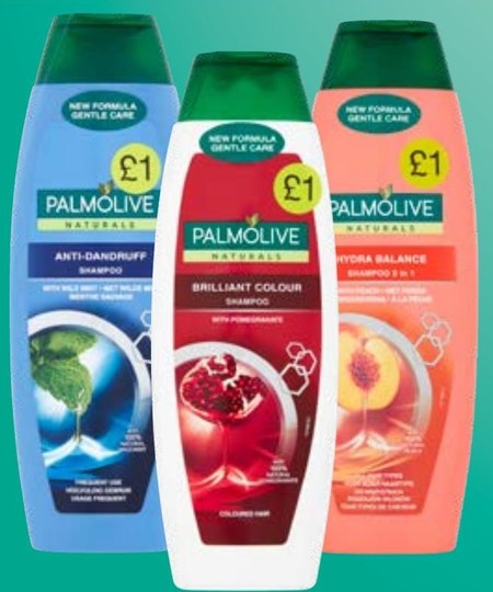 szampon palmolive rossmann