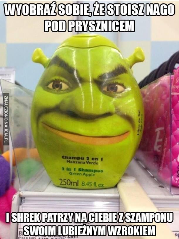 shrek szampon