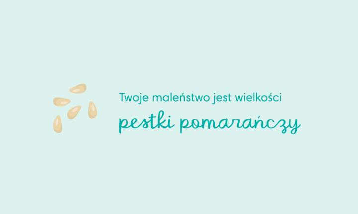 5 tydzień ciąży pampers