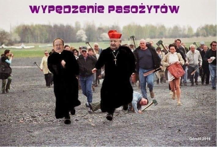 szampon na wypadające włosy klorane