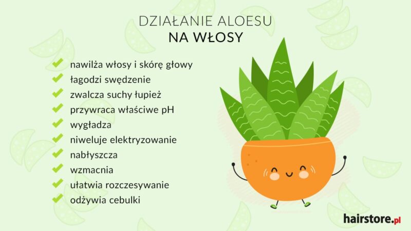 domowa odżywka do włosów z aloesem