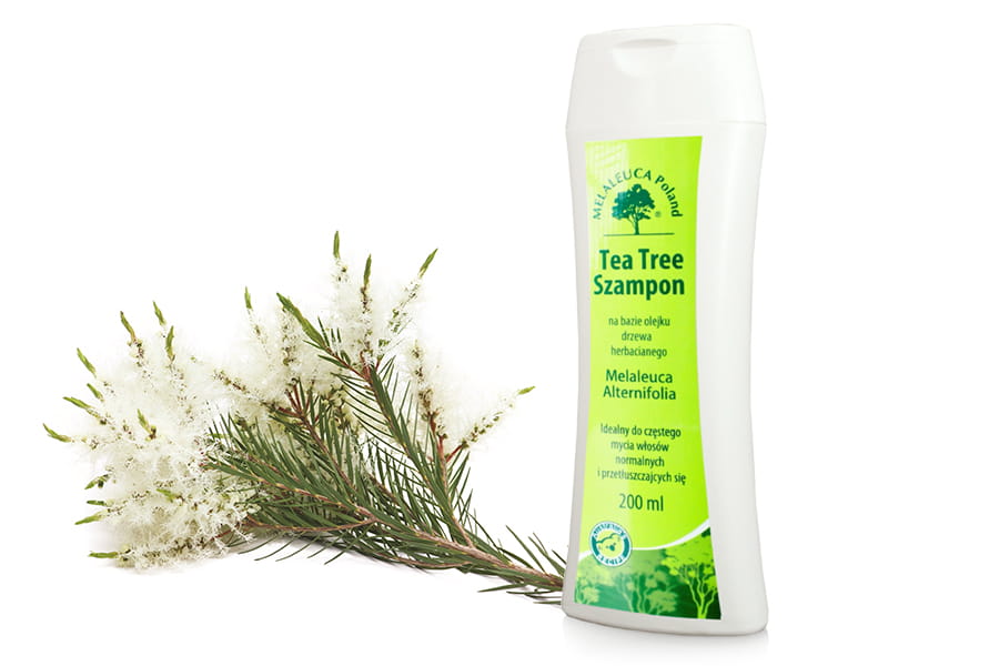 szampon tea tree