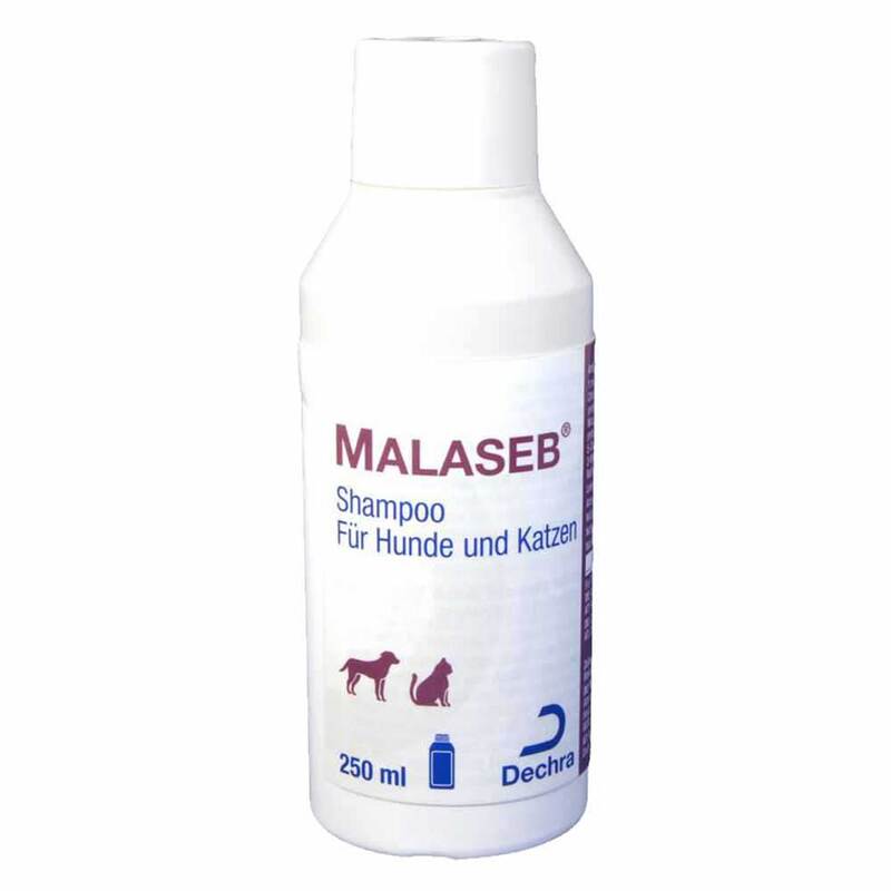 malassezia szampon