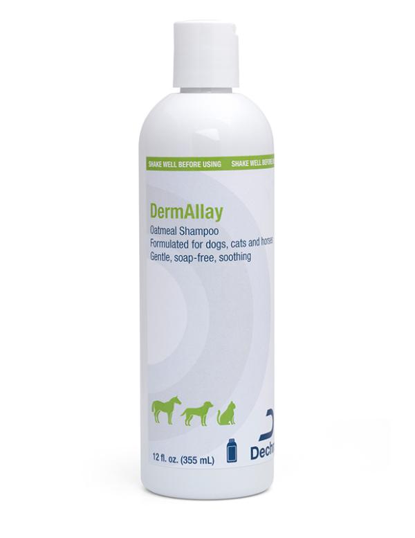 dermallay oatmeal szampon