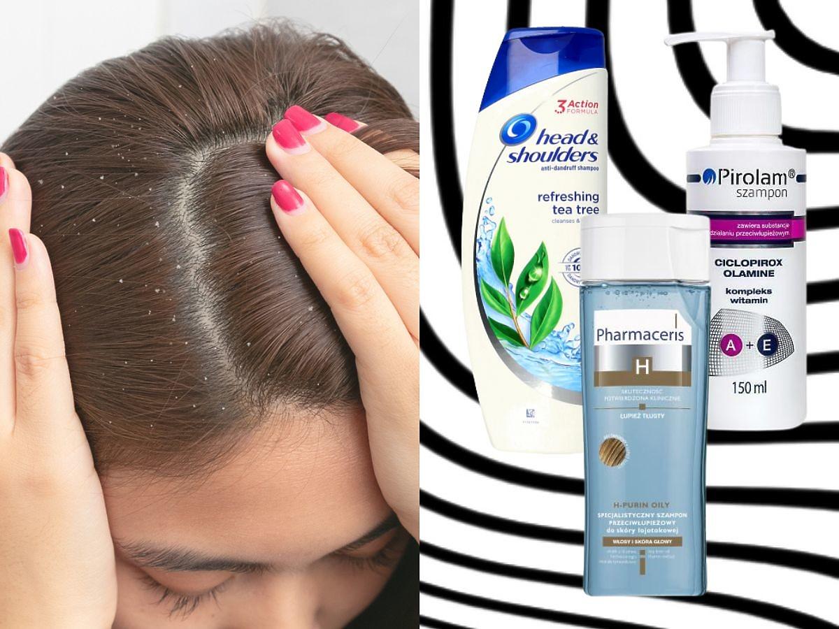 jaki szampon jest dobry na przetłuszczające się włosy i przeciwłupiezowy