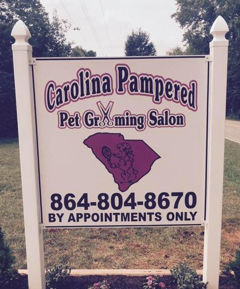 carolina pampered pet