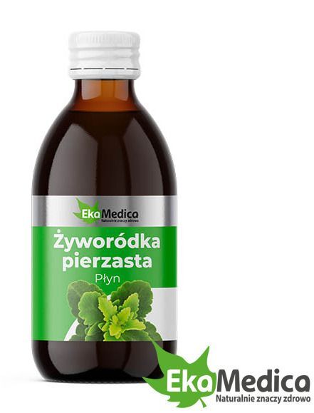 szampon przeciwłupieżowy z żyworódki