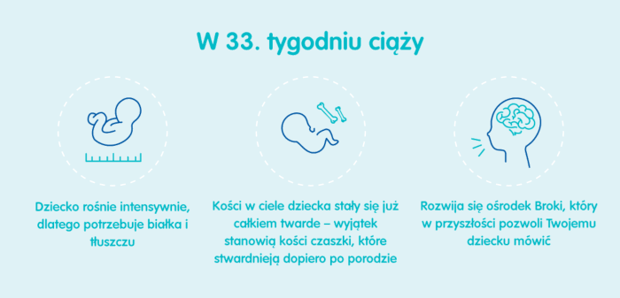 kalendarz ciąży pampers 33