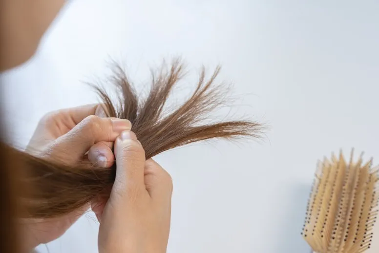 szampon na suche końcówki włosów domowe sposoby