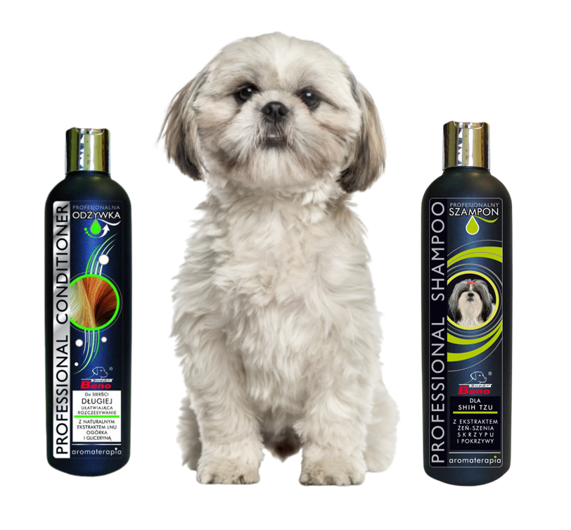 szampon do shih tzu