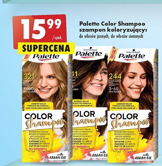 szampon koloryzujący palette kolory rossmann