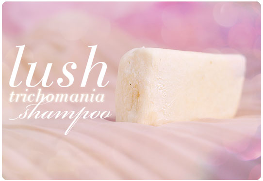 lush szampon w kostcewlosy krecone