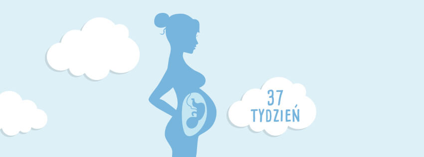 kalendarz ciąży pampers 33