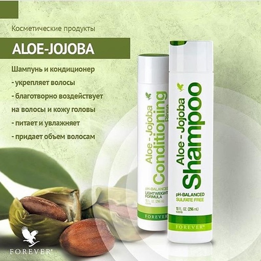 szampon aloe jojoba cena