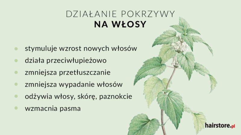 odżywka do włosów z pokrzywy przepis