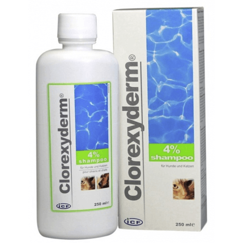 clorexyderm szampon