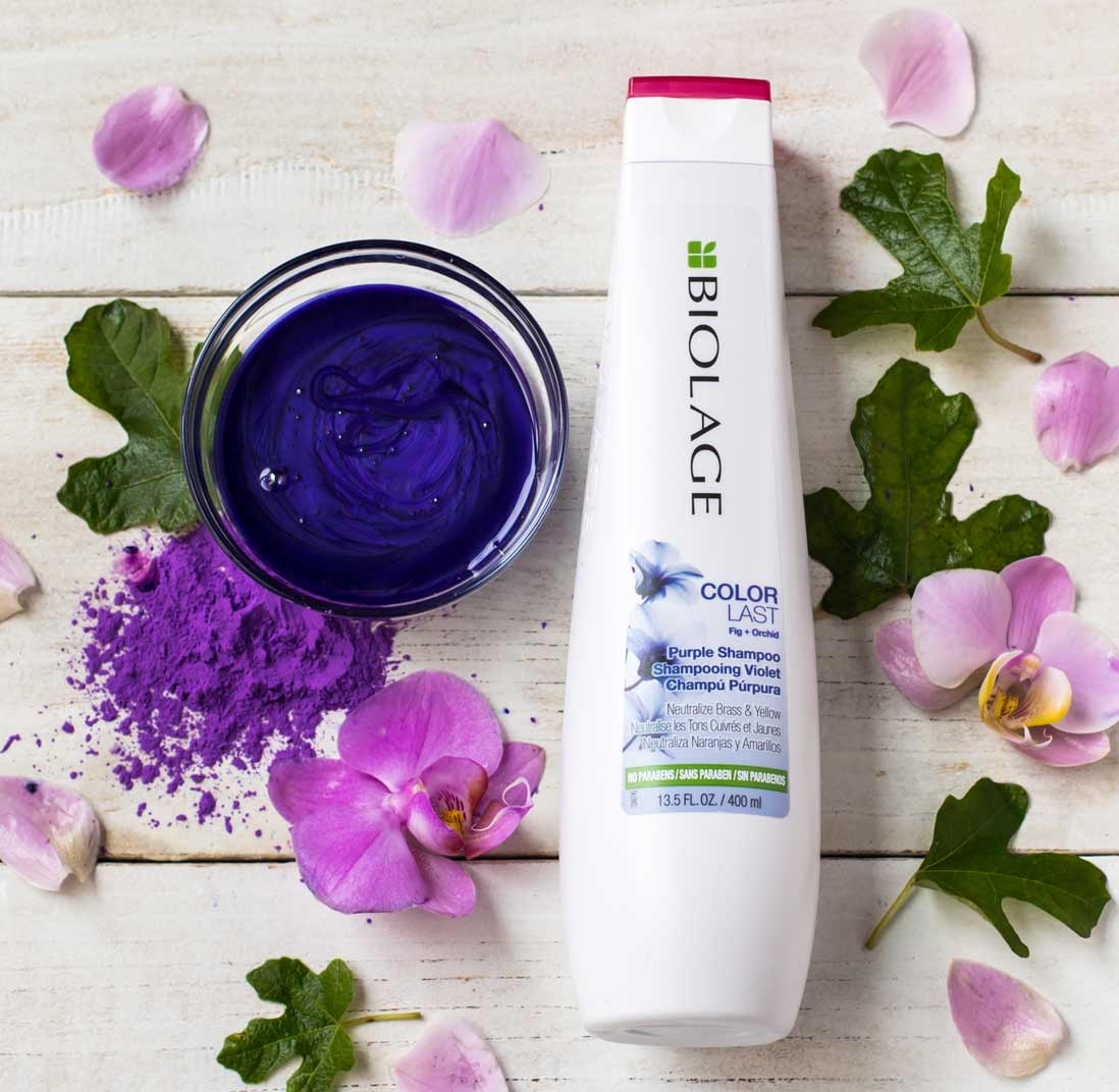 biolage color last purple szampon