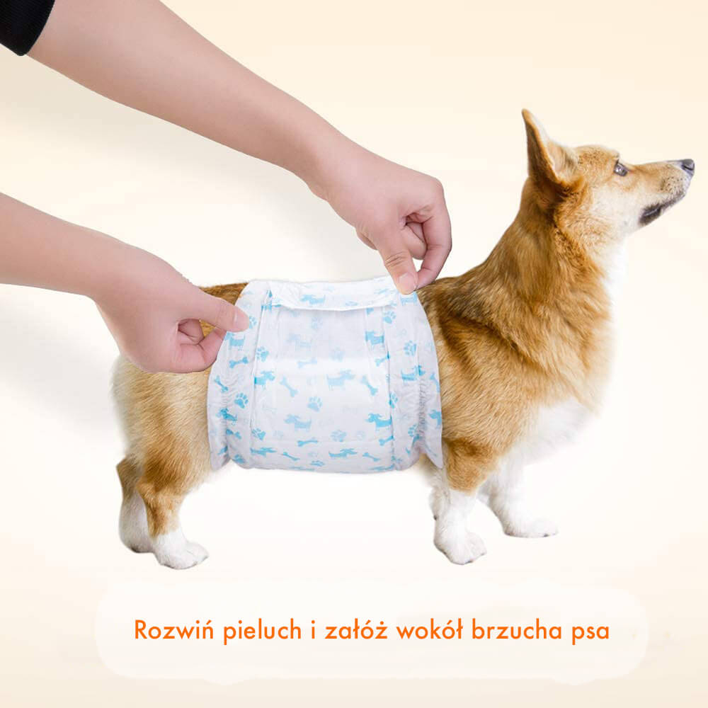 pampers dla psa ktury nieczyma stomi