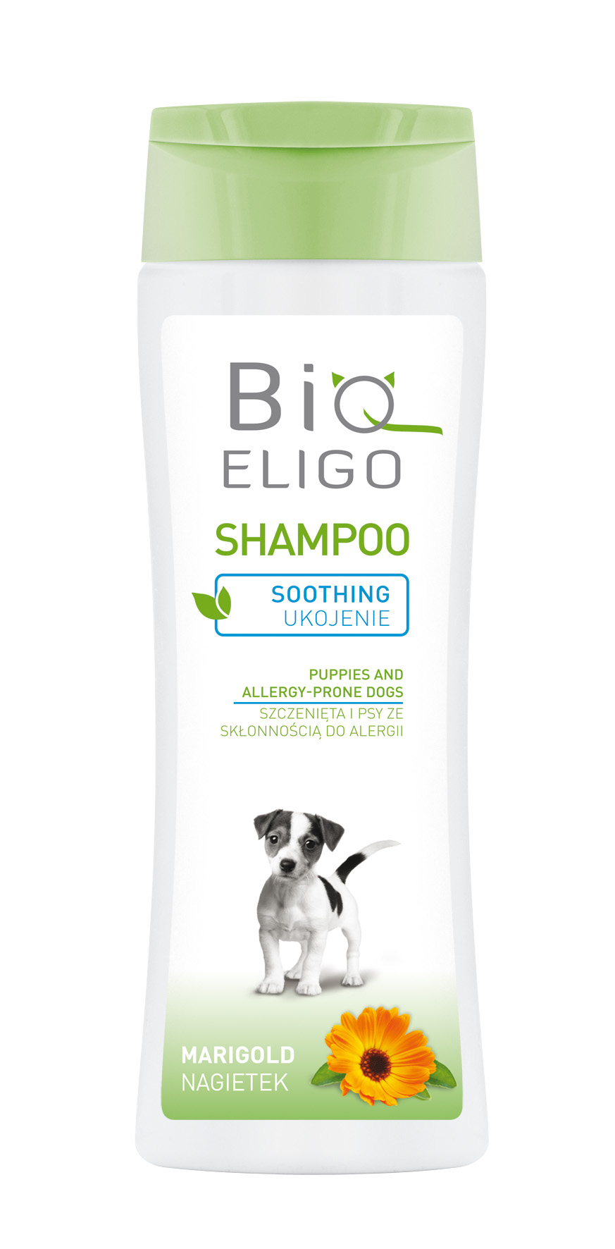 bioeligo szampon blask 250 ml