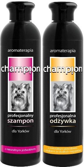 szampon champion dla yorków opinie