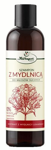 mydlnica lekarska szampon na porost włosów