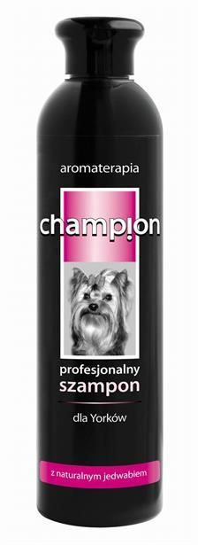champion szampon