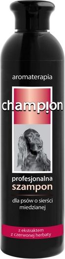 champion szampon do sierści miedzianej 250 ml