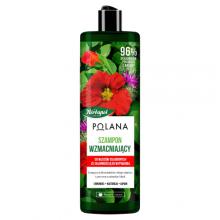 dermo hair pogrubiający szampon zwiększający objętość 250ml cena