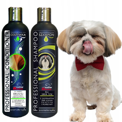 groomer poleca szampon dla shih tzu