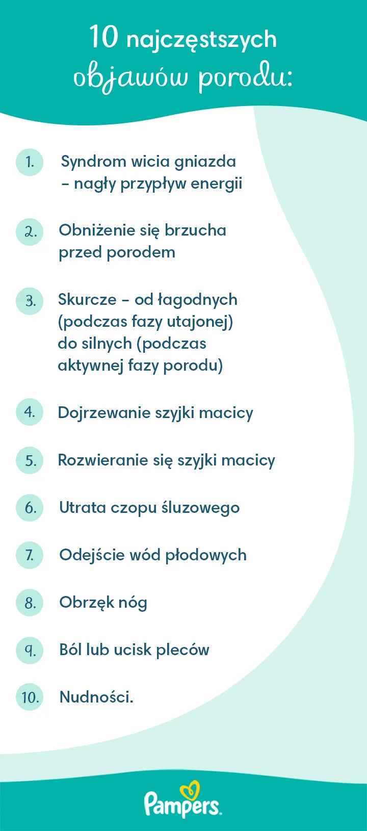 kalkulator ciąży dokładny pampers