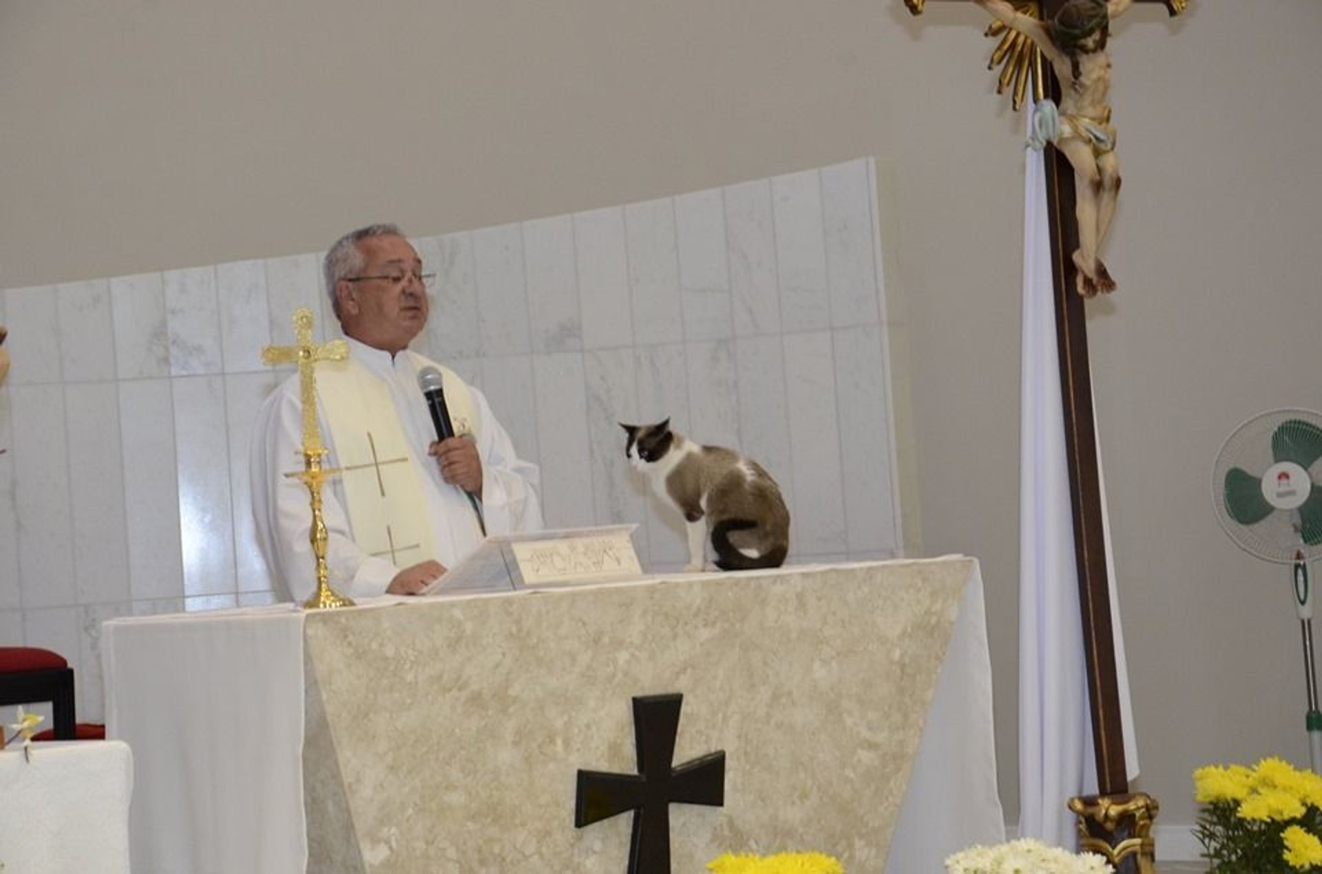 ksiądz ma pieluchy na strychu