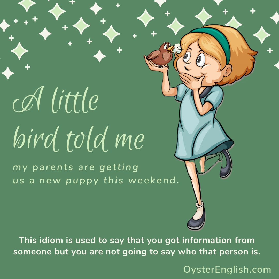 little  bird told me