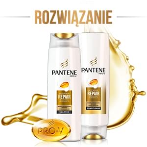 rossmann szampon pantene