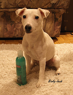 szampon dla jack russell terriera