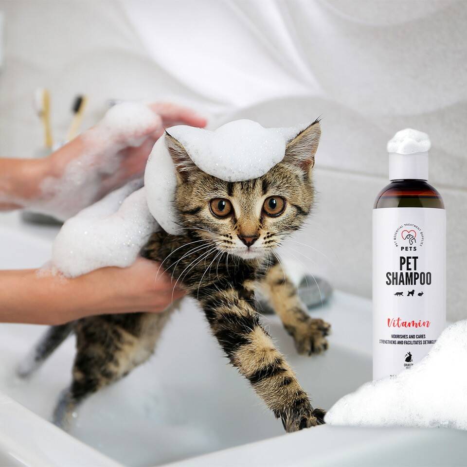 szampon na pchły dla kota zooart