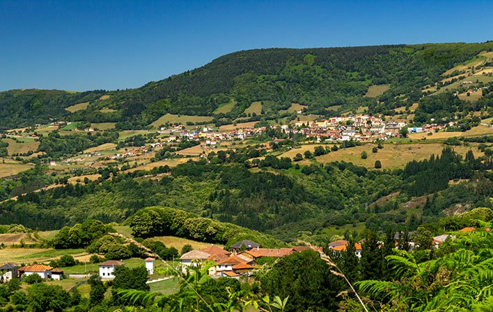 Tineo